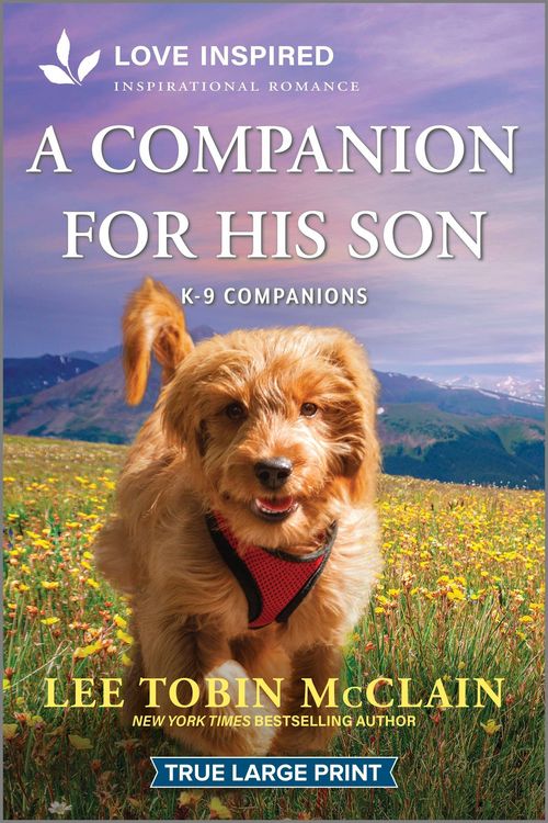 Produktbild: A Companion for His Son