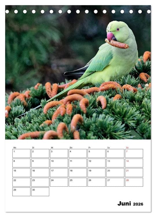 Produktbild: Bezaubernde V&ouml;gel im heimischen Garten (Tischkalender 2026 DIN A5 hoch), CALVENDO Monatskalender
