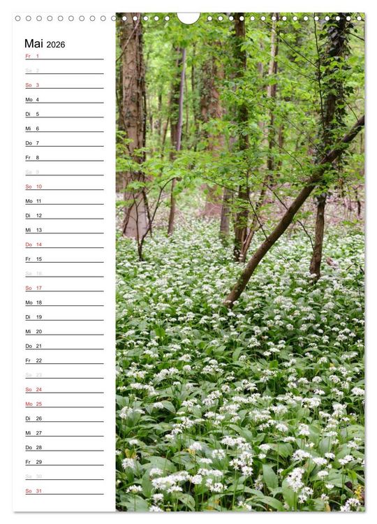 Produktbild: Land Brandenburg im Wechsel der Jahreszeiten (Wandkalender 2026 DIN A3 hoch), CALVENDO Monatskalender