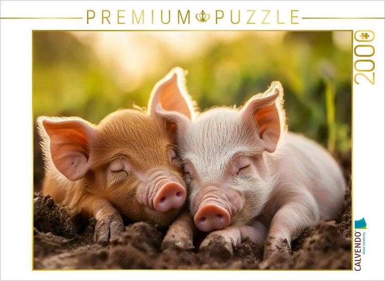 Produktbild: CALVENDO Puzzle Schweine | 2000 Teile Lege-Gr&ouml;&szlig;e 90x67cm Foto-Puzzle f&uuml;r gl&uuml;ckliche Stunden