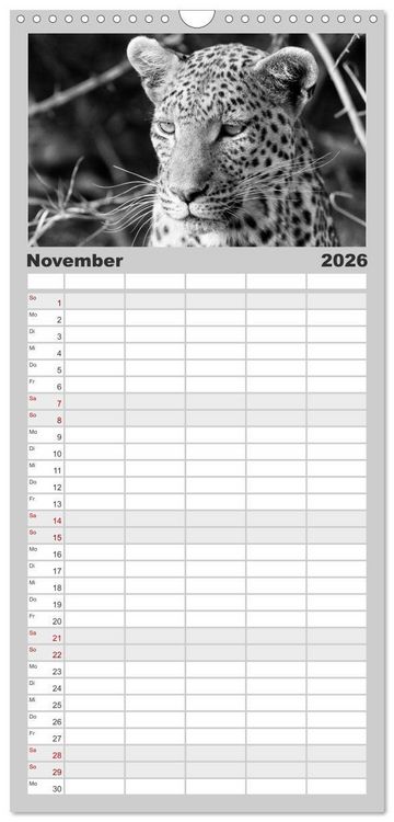 Produktbild: Familienplaner 2026 - Afrika Schwarz - Weiss mit 5 Spalten (Wandkalender, 21 x 45 cm) CALVENDO