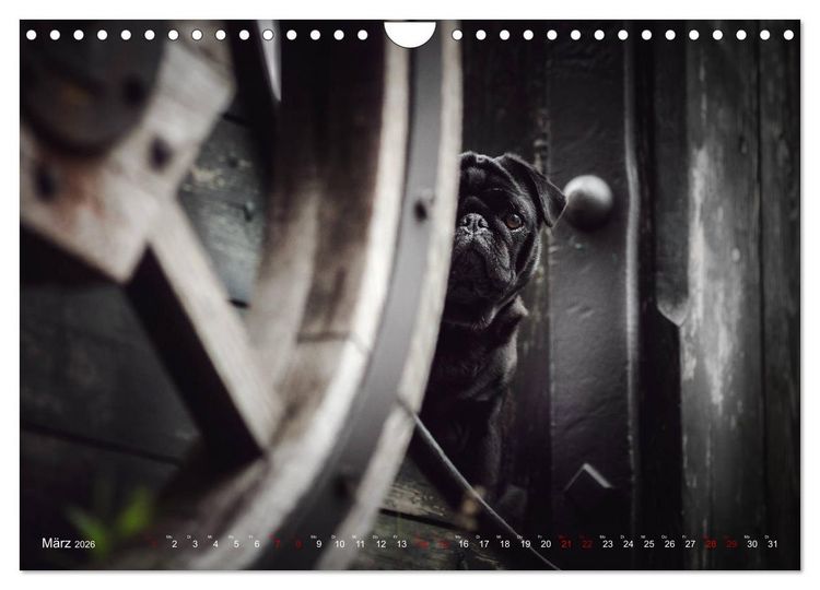 Produktbild: Diesels Welt (Wandkalender 2026 DIN A4 quer), CALVENDO Monatskalender