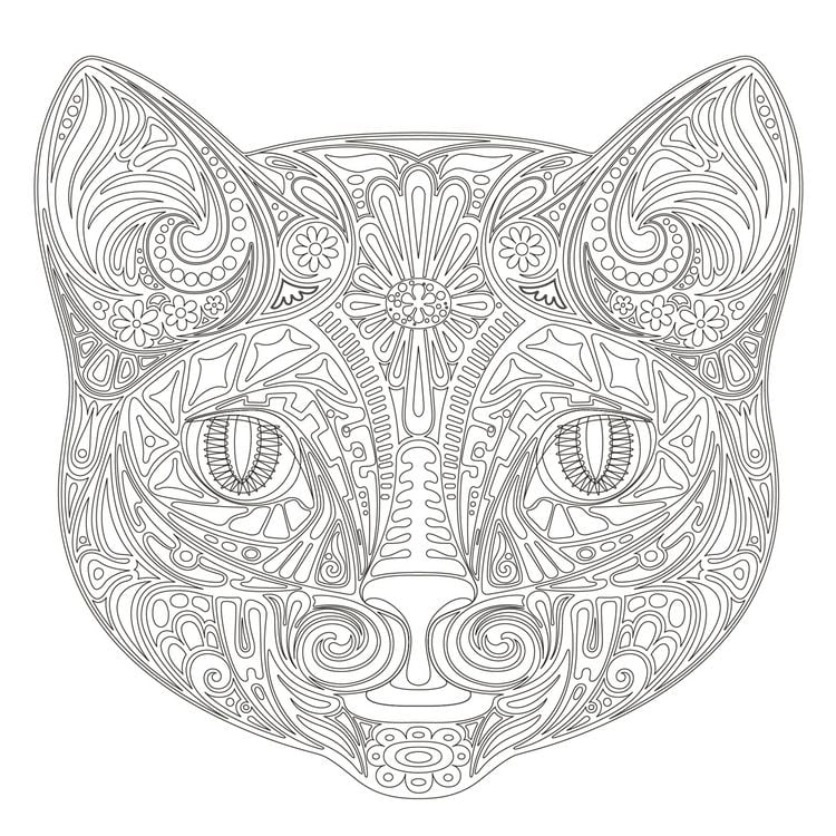 Produktbild: Achtsam & Kreativ. Katzen