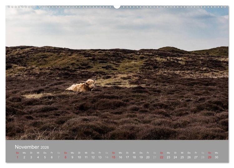 Produktbild: Texel - Meine Insel (Wandkalender 2026 DIN A2 quer), CALVENDO Monatskalender