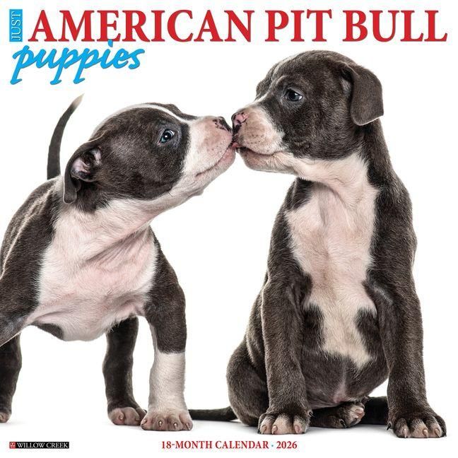Produktbild: American Pit Bull Terrier Puppies 2026 12 X 12 Wall Calendar