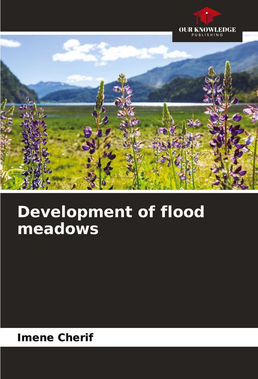 Produktbild: Development of flood meadows
