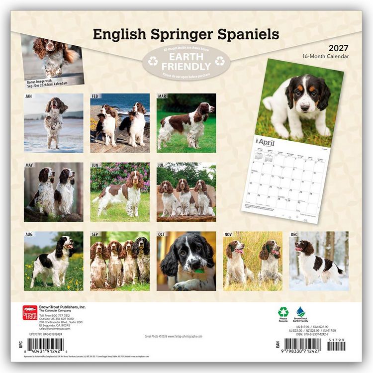 Produktbild: English Springer Spaniels 2027 &ndash; 16-Monatskalender