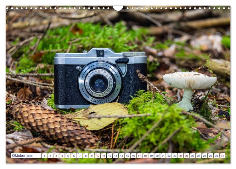 Produktbild: Alte Fotoapparate, Augenzeugen der Zeit (Wandkalender 2026 DIN A3 quer), CALVENDO Monatskalender