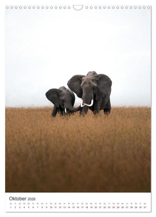 Produktbild: Elefanten - Die Herzeroberer der Tierwelt. (Wandkalender 2026 DIN A3 hoch), CALVENDO Monatskalender