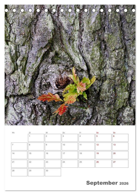 Produktbild: Planen mit dem Symbol der inneren St&auml;rke (Tischkalender 2026 DIN A5 hoch), CALVENDO Monatskalender