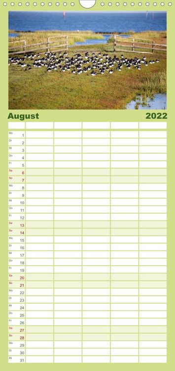 Produktbild: Familienplaner Pellworm 2022 (Wandkalender 2022 , 21 cm x 45 cm, hoch)