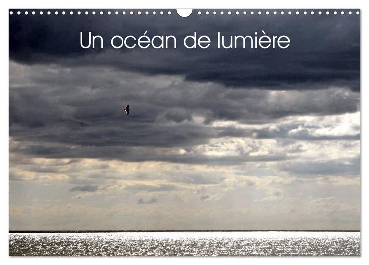 Produktbild: Un oc&eacute;an de lumi&egrave;re (Calendrier mural 2026 DIN A3 vertical), CALVENDO calendrier mensuel