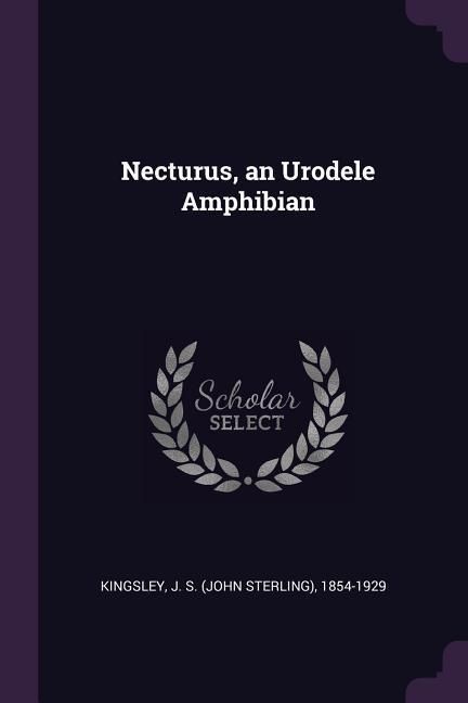 Produktbild: Necturus, an Urodele Amphibian