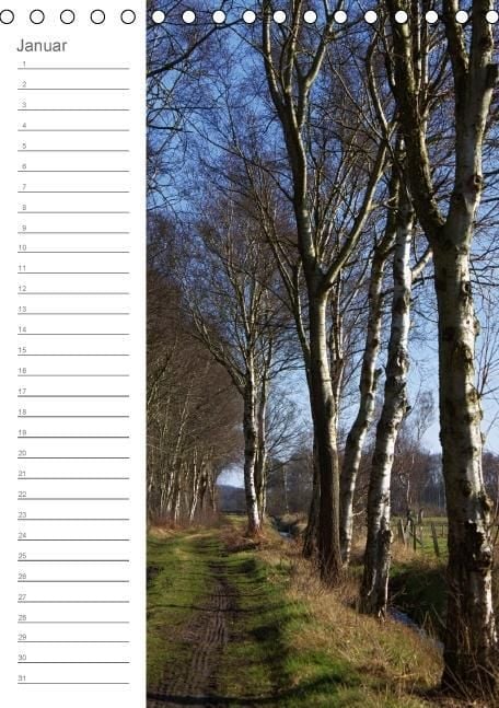 Produktbild: Malerisches Teufelsmoor (Tischkalender immerw&auml;hrend DIN A5 hoch)