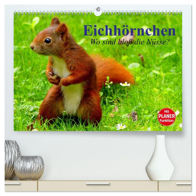 Produktbild: Eichh&ouml;rnchen. Wo sind blo&szlig; die N&uuml;sse? (hochwertiger Premium Wandkalender 2026 DIN A2 quer), Kunstdruck in Hochglanz