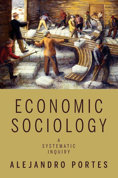 Produktbild: Economic Sociology