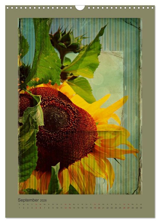 Produktbild: Vintage Style (Wandkalender 2026 DIN A3 hoch), CALVENDO Monatskalender