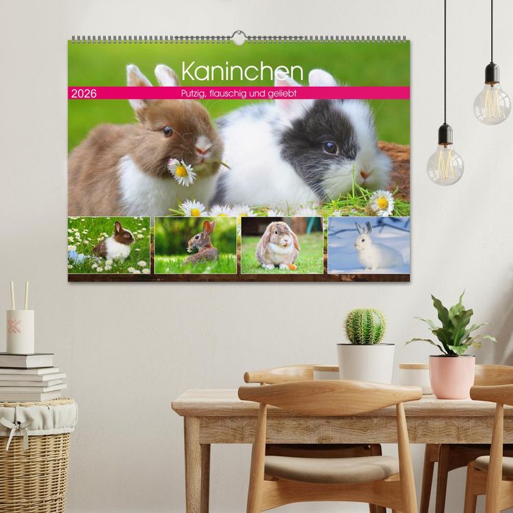Produktbild: Kaninchen. Putzig, flauschig und geliebt (Wandkalender 2026 DIN A2 quer), CALVENDO Monatskalender