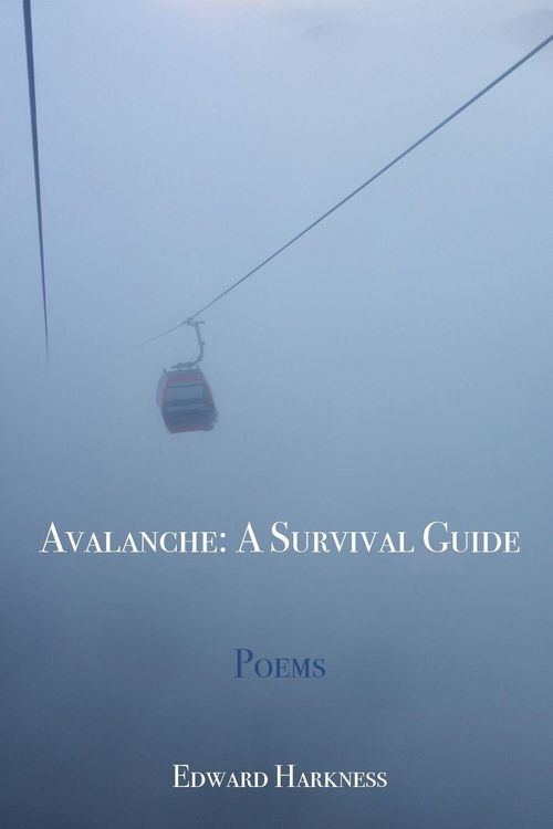 Produktbild: Avalanche