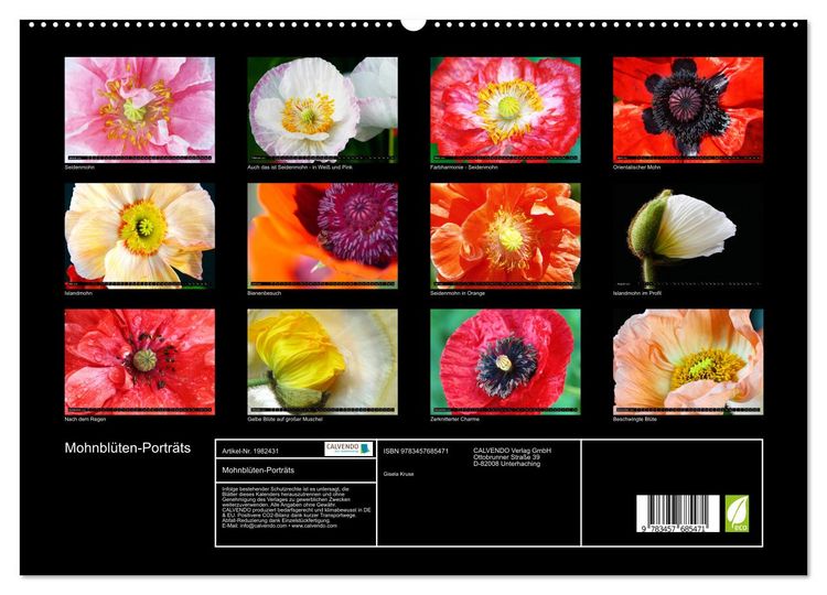 Produktbild: Mohnbl&uuml;ten-Portr&auml;ts (hochwertiger Premium Wandkalender 2026 DIN A2 quer), Kunstdruck in Hochglanz