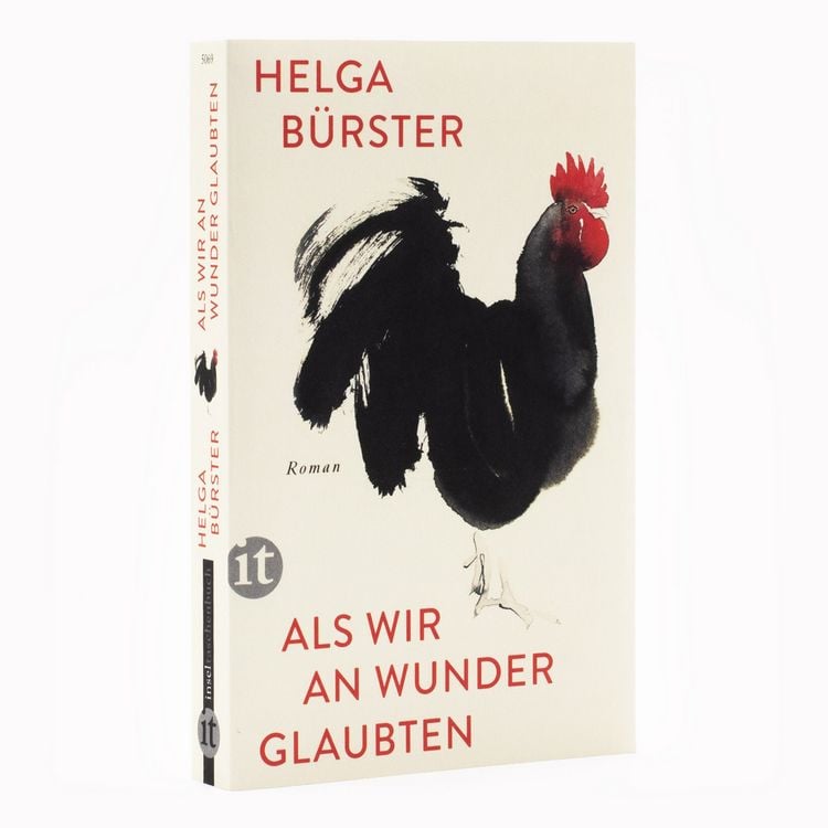 Produktbild: Als wir an Wunder glaubten