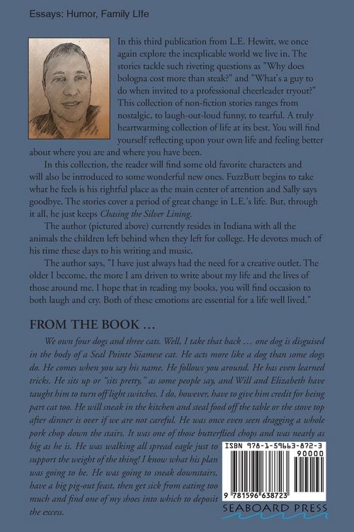 Produktbild: Chasing the Silver Lining