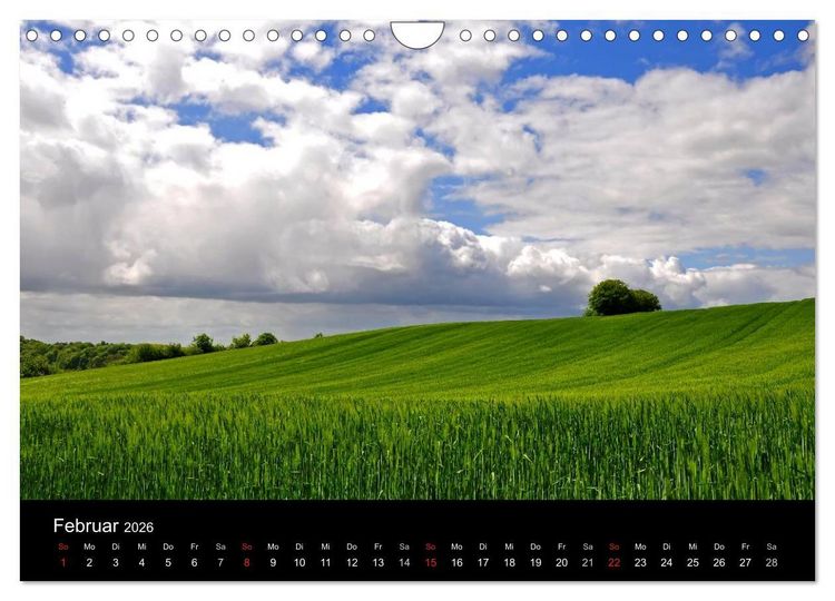 Produktbild: Pl&ouml;n - die Stadt am See (Wandkalender 2026 DIN A4 quer), CALVENDO Monatskalender