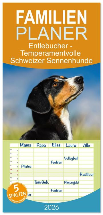 Produktbild: Familienplaner 2026 - Entlebucher - Temperamentvolle Schweizer Sennenhunde mit 5 Spalten (Wandkalender, 21 x 45 cm) CALVENDO
