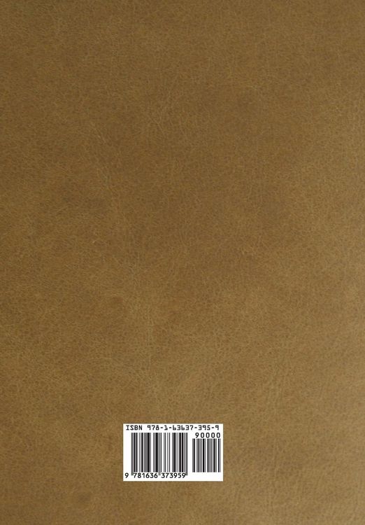 Produktbild: A History of Chinese Literature