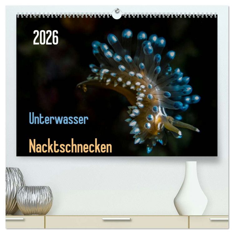 Produktbild: Unterwasser - Nacktschnecken 2026 (hochwertiger Premium Wandkalender 2026 DIN A2 quer), Kunstdruck in Hochglanz