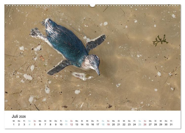 Produktbild: Australiens wunderbare Tiere (Wandkalender 2026 DIN A2 quer), CALVENDO Monatskalender