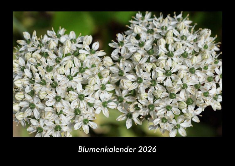 Produktbild: Blumenkalender 2026 Fotokalender DIN A3