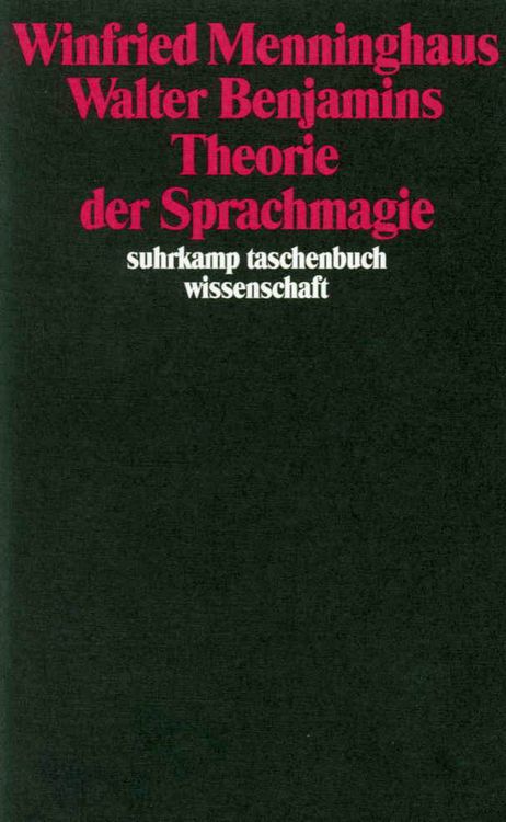 Produktbild: Walter Benjamins Theorie der Sprachmagie