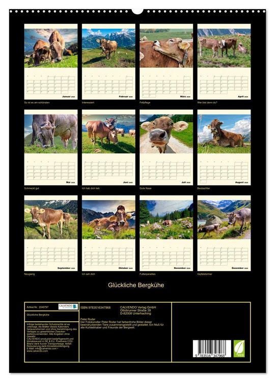 Produktbild: Gl&uuml;ckliche Bergk&uuml;he (hochwertiger Premium Wandkalender 2026 DIN A2 hoch), Kunstdruck in Hochglanz