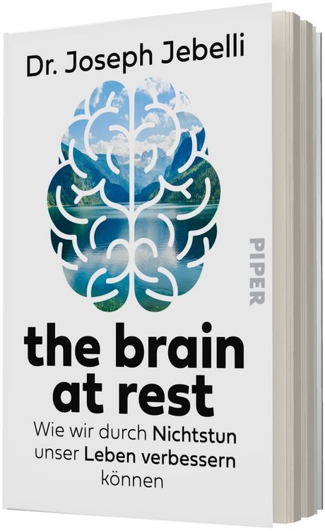 Produktbild: the brain at rest