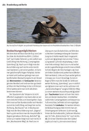 Produktbild: V&ouml;gel beobachten in Ostdeutschland