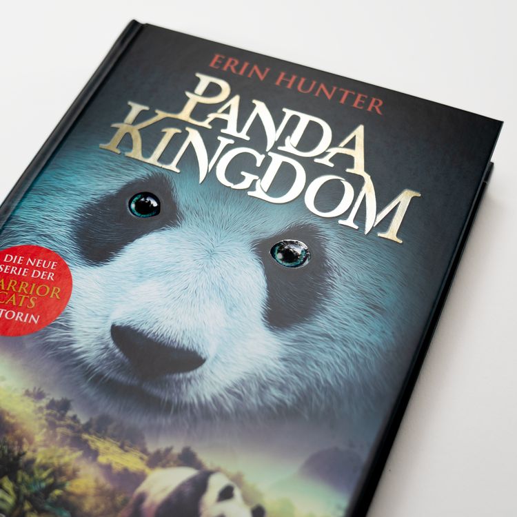Produktbild: Panda Kingdom - Rei&szlig;ende Flut