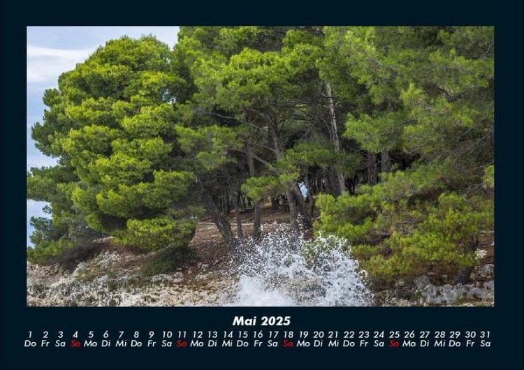 Produktbild: B&auml;ume 2025 Fotokalender DIN A4