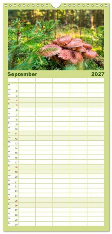 Produktbild: Familienplaner 2027 - Vielfalt am Waldboden mit 5 Spalten (Wandkalender, 21 x 45 cm) CALVENDO