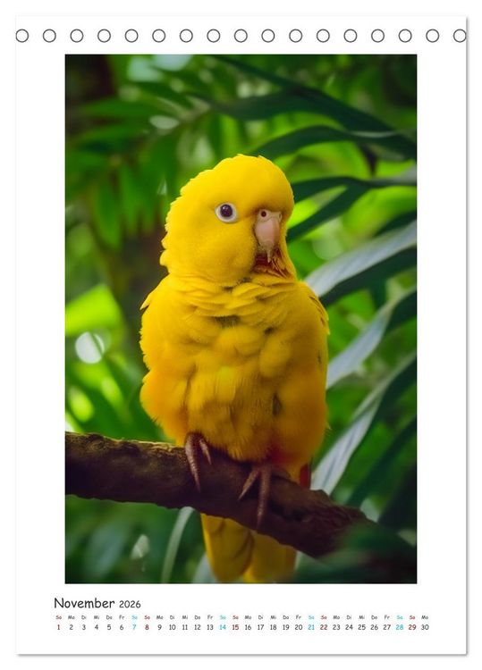 Produktbild: Exotische Sch&ouml;nheiten - pr&auml;chtig bunte V&ouml;gel (Tischkalender 2026 DIN A5 hoch), CALVENDO Monatskalender