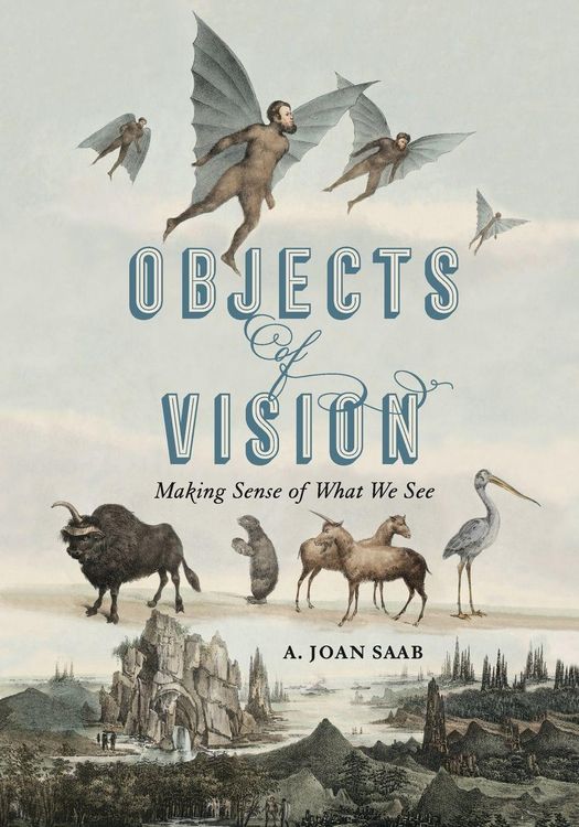 Produktbild: Objects of Vision
