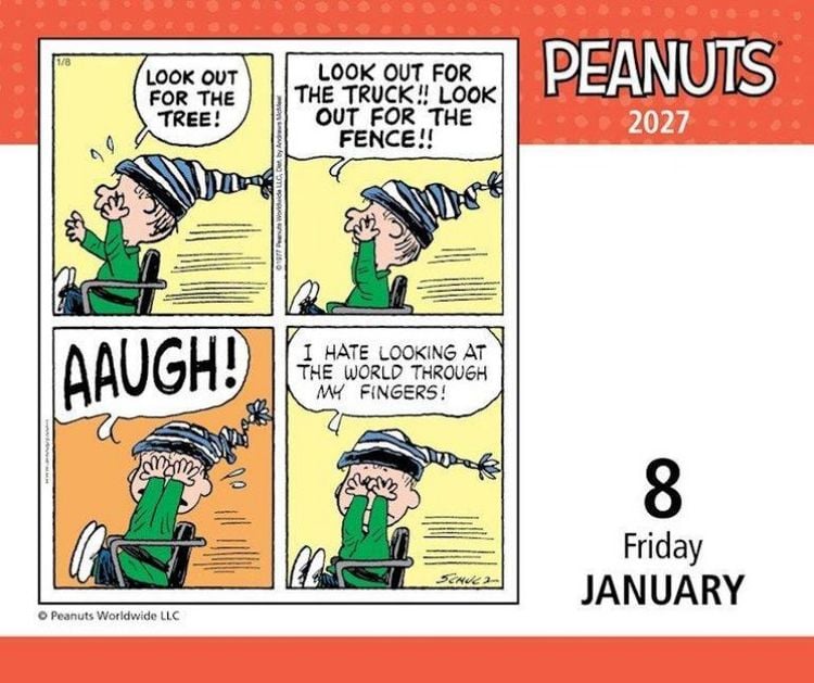 Produktbild: Peanuts 2027