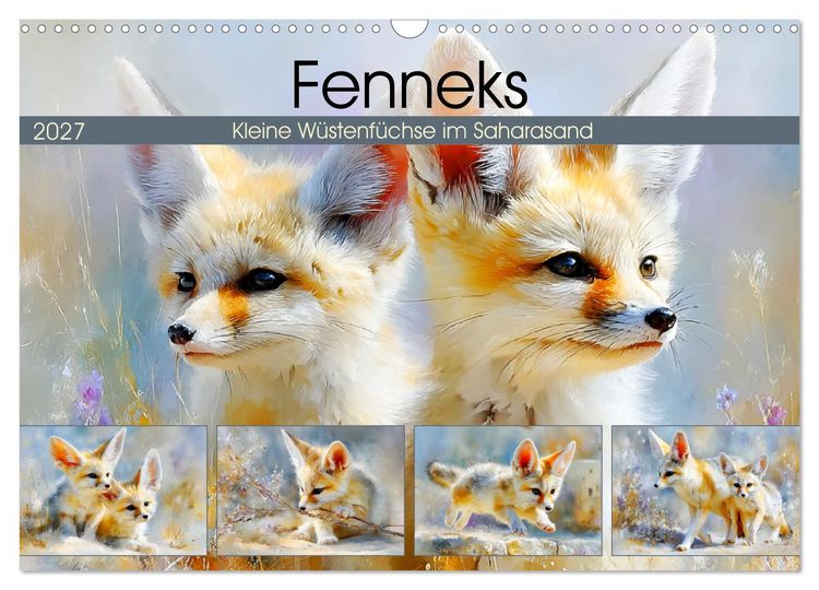 Produktbild: Fenneks. Kleine W&uuml;stenf&uuml;chse im Saharasand (Wandkalender 2027 DIN A3 quer), CALVENDO Monatskalender