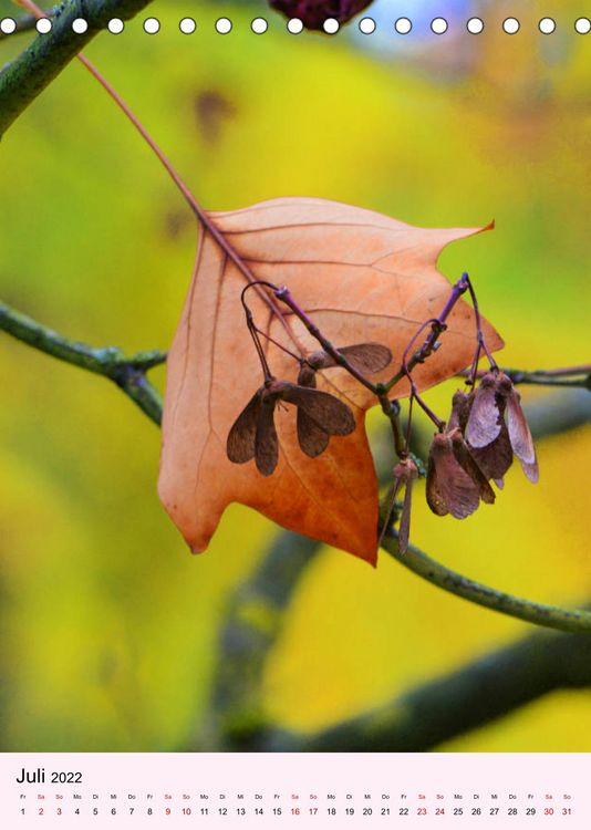Produktbild: Lust auf Herbstfarben (Tischkalender 2022 DIN A5 hoch)