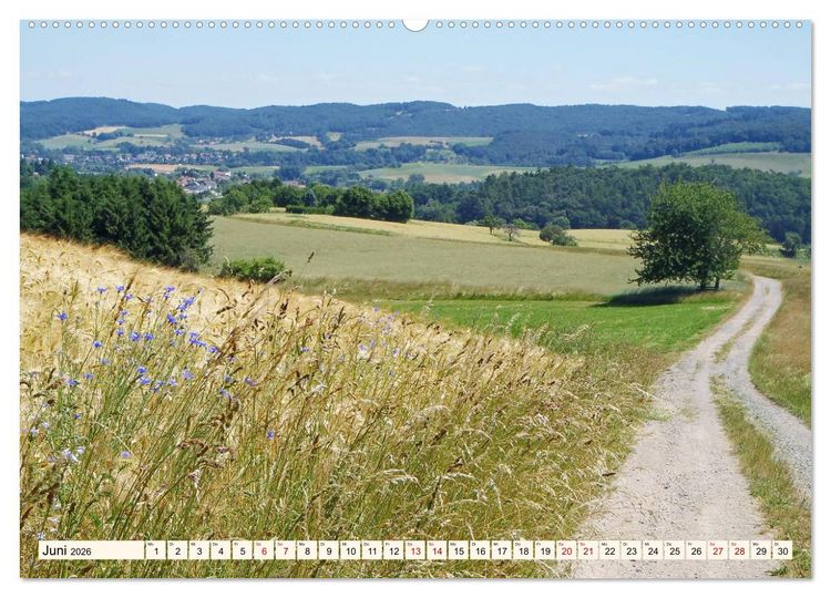 Produktbild: Viele Wege - ein Ziel Wandern im Odenwald (Wandkalender 2026 DIN A2 quer), CALVENDO Monatskalender