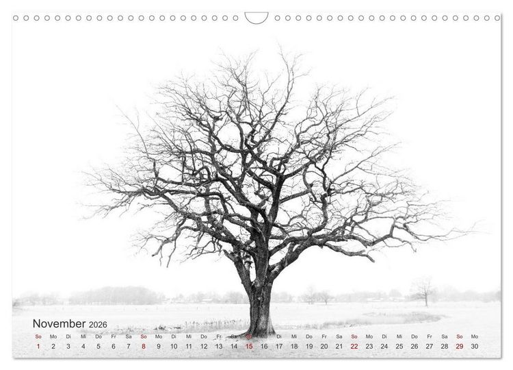 Produktbild: Landschaften und Natur 2026 (Wandkalender 2026 DIN A3 quer), CALVENDO Monatskalender