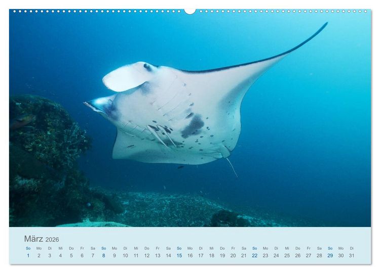 Produktbild: Abenteuer Unterwasser (Wandkalender 2026 DIN A2 quer), CALVENDO Monatskalender