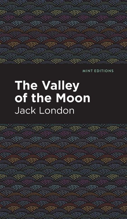 Produktbild: The Valley of the Moon