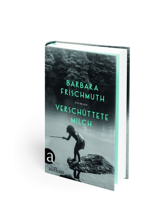 Produktbild: Versch&uuml;ttete Milch