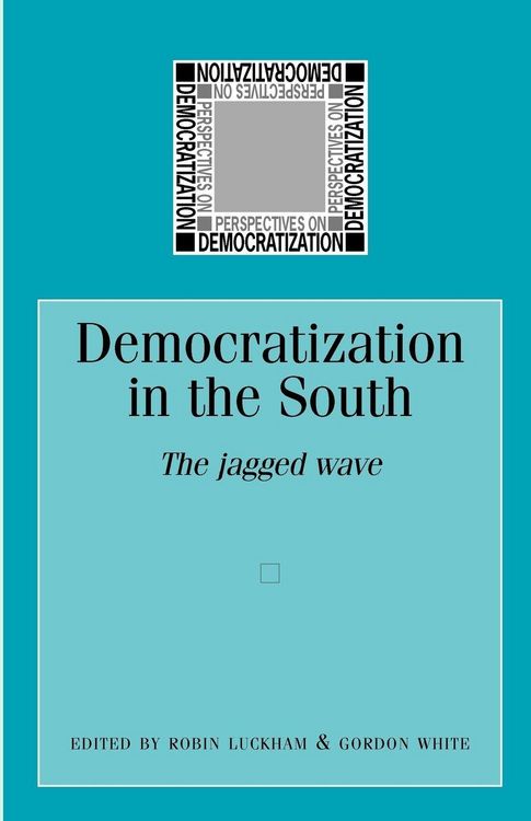 Produktbild: Democratization in the South